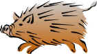 wild0113.jpg (25869 bytes)