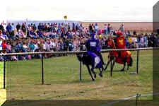 509041.jpg (11295 bytes)