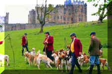 585069.jpg (11537 bytes)