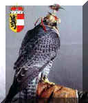 HUNTING2.jpg (6648 bytes)